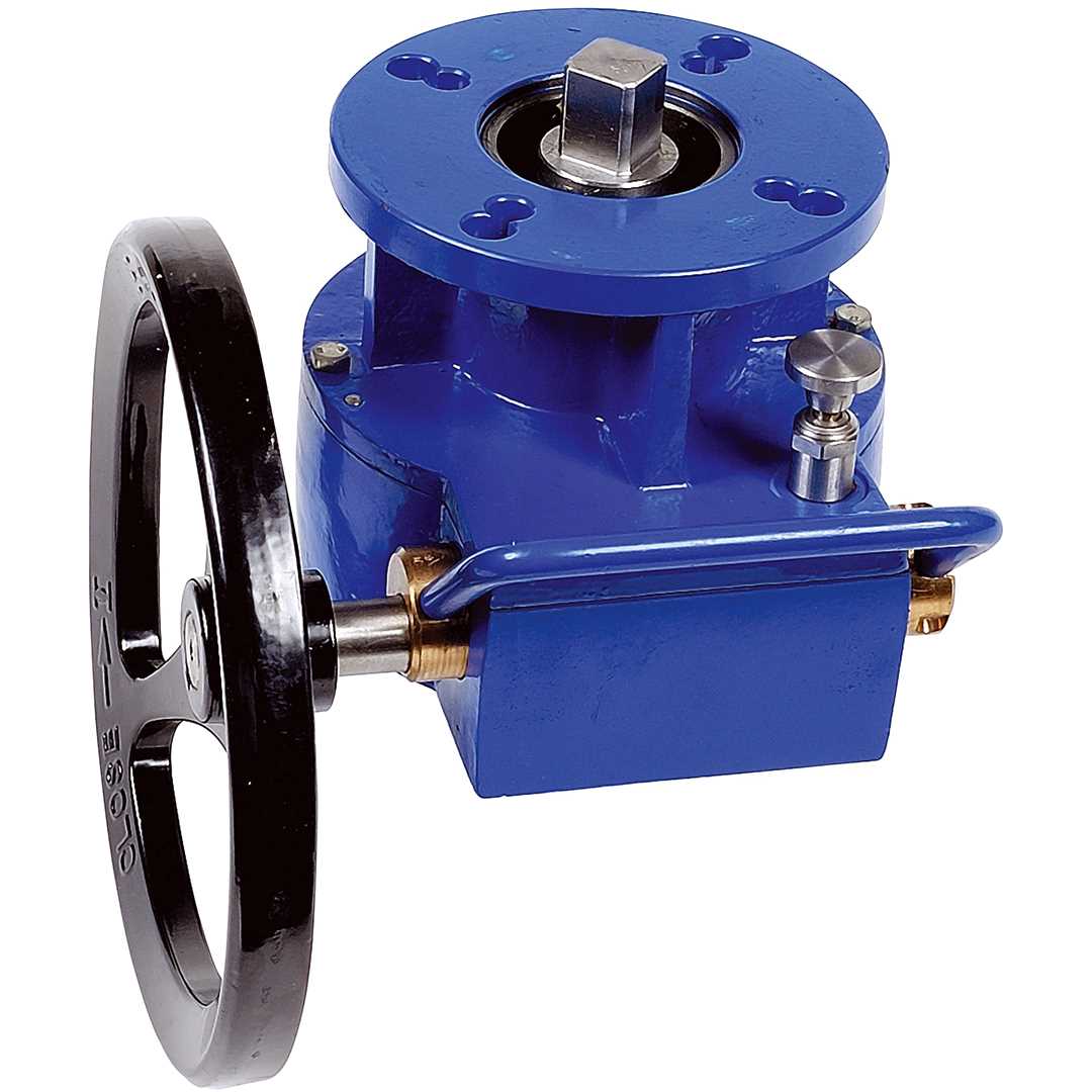 Stem extension for actuated valve