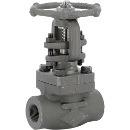 Carbon steel A350LF2 gate valve 120 TRIM 12 1500 lbs NPT | Syveco