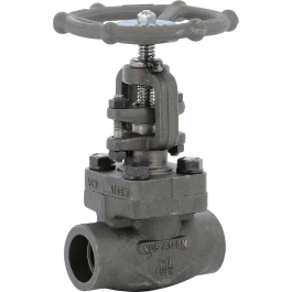 Carbon steel A105N globe valve 412 TRIM 8 800 lbs SW | Syveco