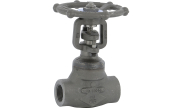 Carbon steel A150N gate valve 116 TRIM 5 800 lbs NPT