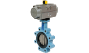 Ductile iron butterfly valve 1163 + RE/RES pneumatic actuator