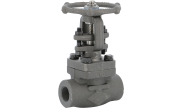 Carbon steel A350LF2 gate valve 120 TRIM 12 1500 lbs NPT