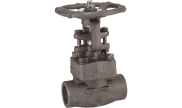 Carbon steel A350LF2 gate valve 121 TRIM 12 1500 lbs SW