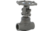 Carbon steel A182F11 gate valve 122 TRIM 5 800 lbs SW