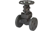 Carbon steel A150N gate valve 130 TRIM 5 150 lbs RF