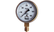 Stainless steel pressure gauge dry radial Ø100 - Gas capsule - 1635