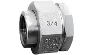 Forged stainless steel equal union female BSP 2065