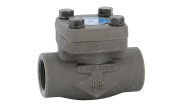 Carbon steel A105N ball check valve 319 TRIM 8 800 lbs NPT