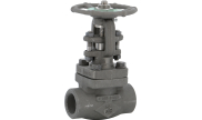 Carbon steel A105N globe valve 403 TRIM 8 600 lbs NPT