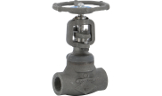 Carbon steel A150N globe valve 416 TRIM 5 800 lbs NPT