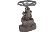 Carbon steel A350LF2 globe valve 418 TRIM 12 800 lbs NPT