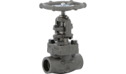 Carbon steel A350LF2 globe valve 419 TRIM 12 800 lbs SW