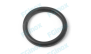 Gasket for DIN union fittings
