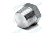 Stainless steel hexagonal plug NPT