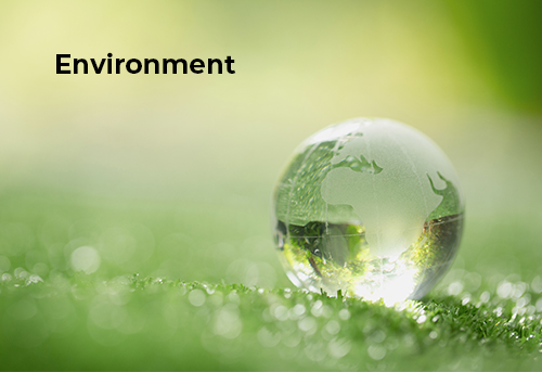 image Environment with glass globe in the grass, block to go to the page dealing with environmental issues at Syveco