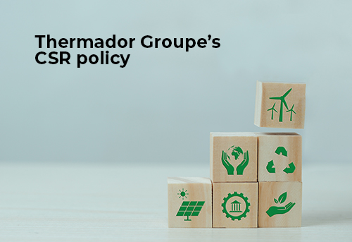 image of wooden blocks with environmental pictograms, block to go to the page dealing with CSR issues at Thermador Groupe