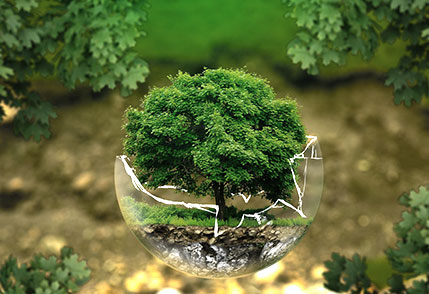 a tree in a broken glass ball, go to the page Corporate Social Responsibility